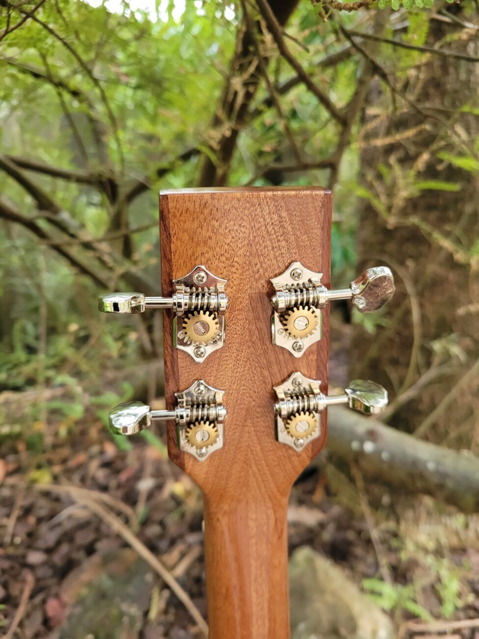 PHOENIX BARITONE BANJO UKULELE
