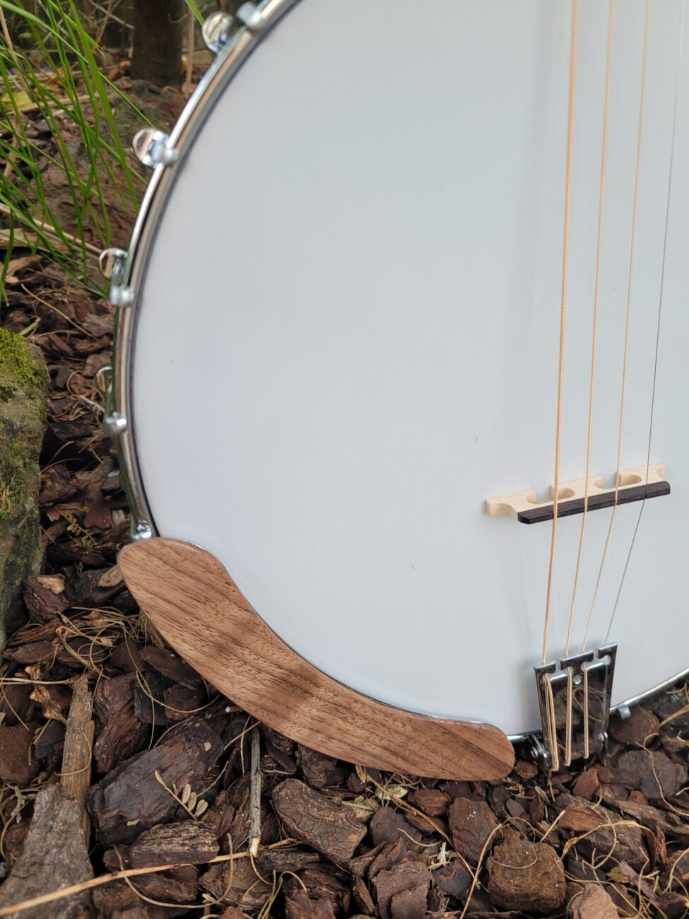 PHOENIX IRISH TENOR BANJO 17 fret, 19-5/8" scale (open back)