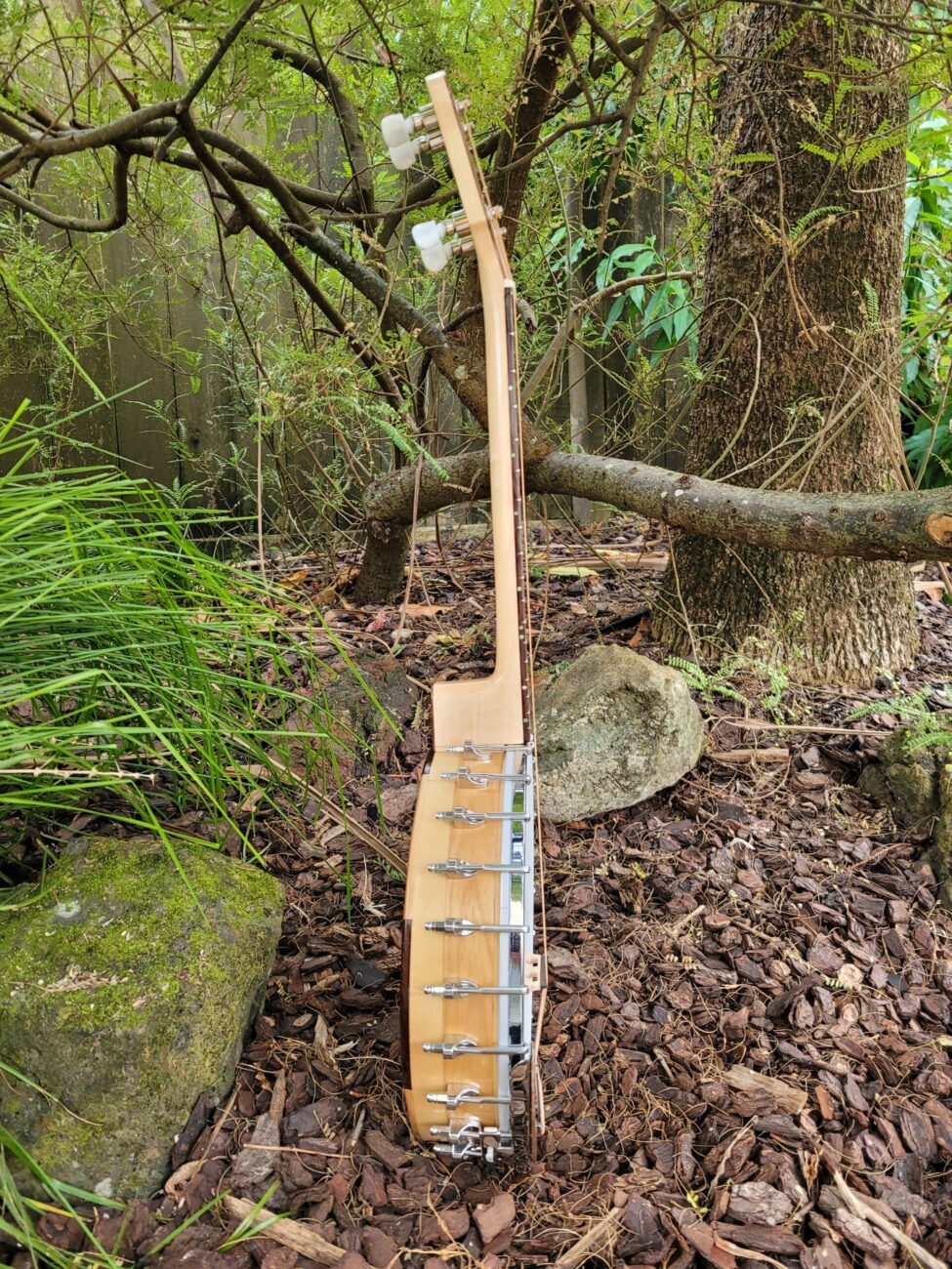PHOENIX IRISH TENOR BANJO 17 fret, 19-5/8" scale (open back)