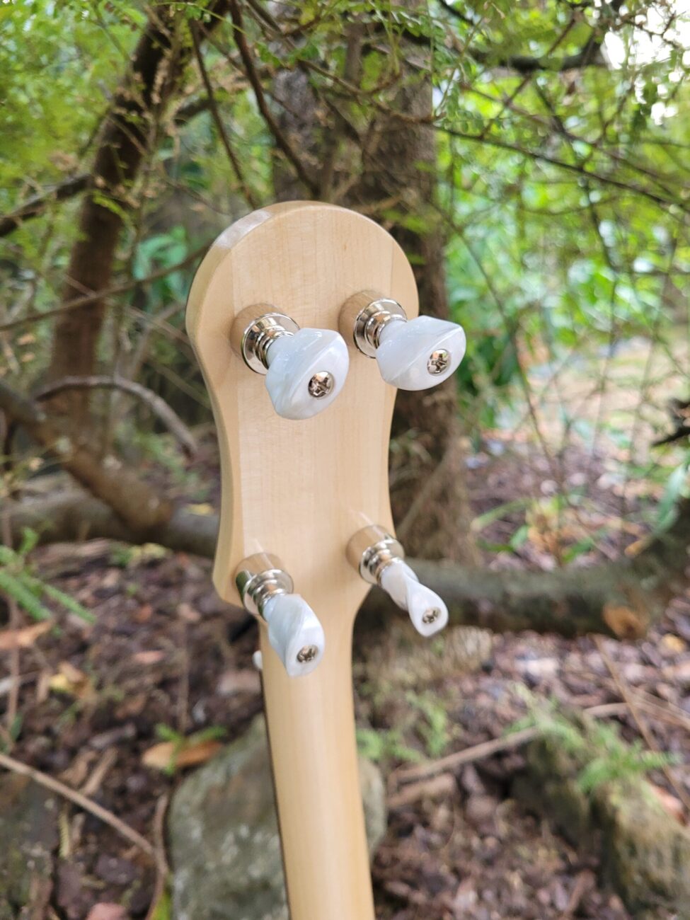 PHOENIX IRISH TENOR BANJO 17 fret, 19-5/8" scale (open back)