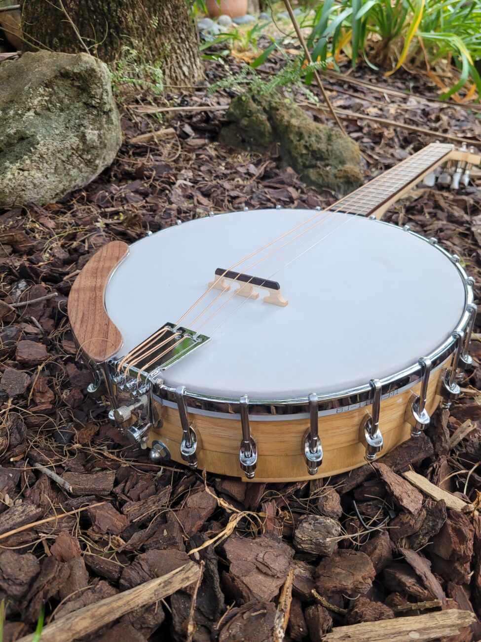 PHOENIX IRISH TENOR BANJO 17 fret, 19-5/8" scale (open back)