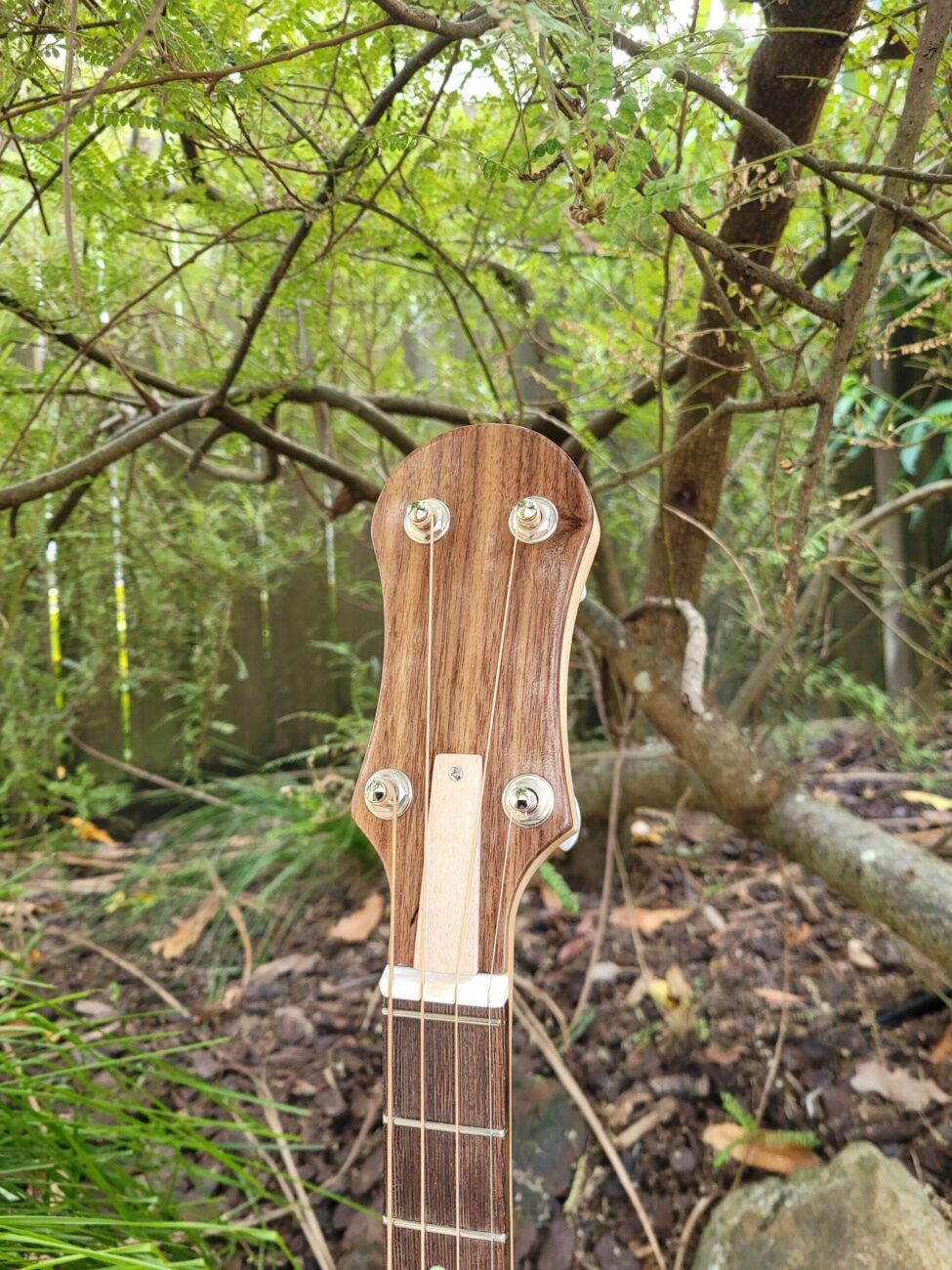 PHOENIX IRISH TENOR BANJO 17 fret, 19-5/8" scale (open back)