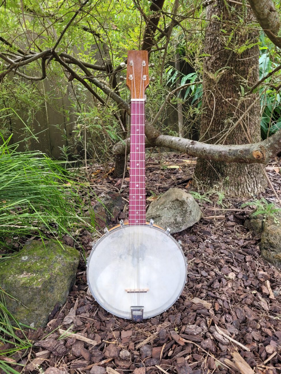 PHOENIX BARITONE BANJO UKULELE