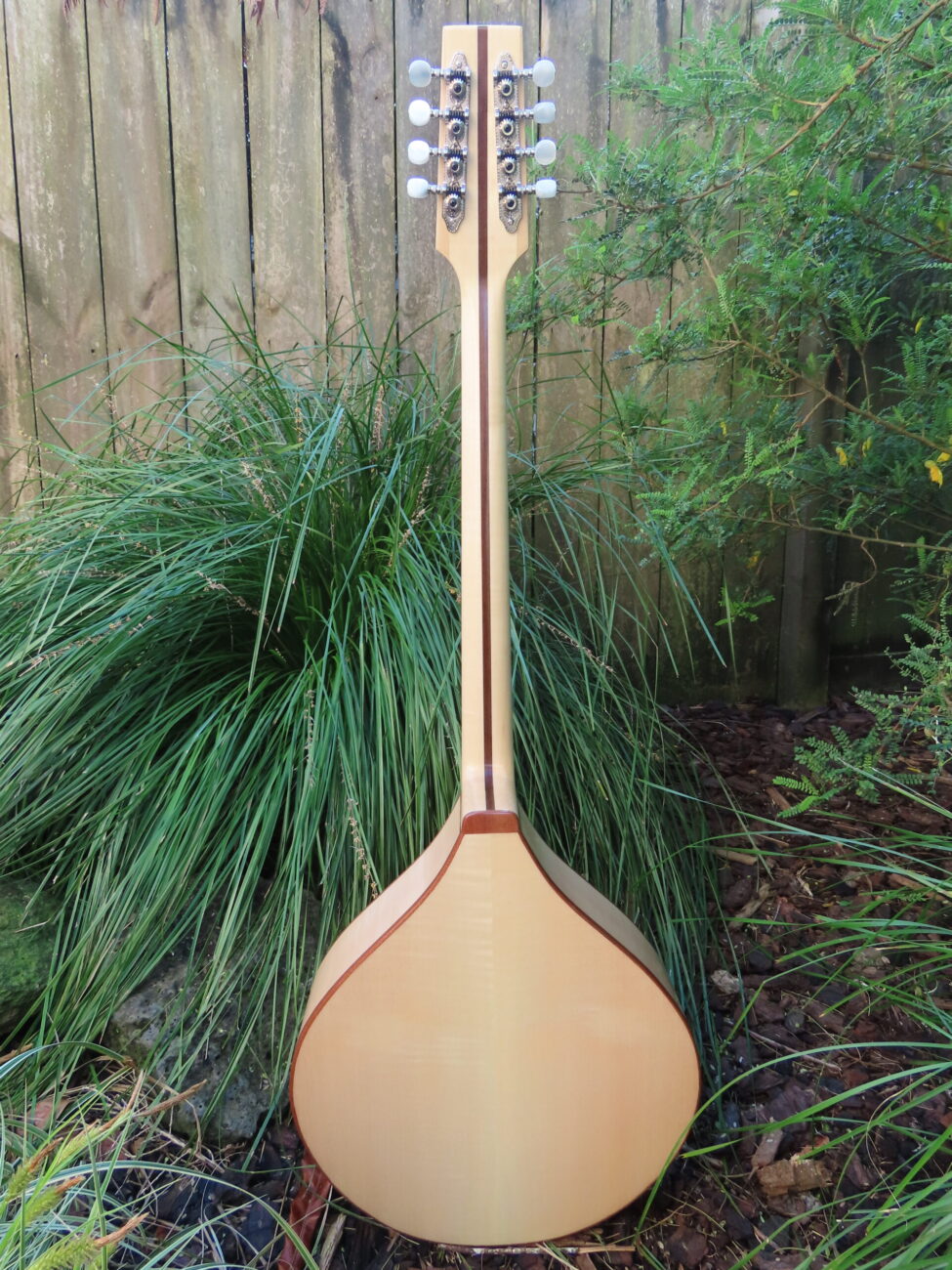 TRAD II ROYALE OCTAVE MANDOLIN / IRISH BOUZOUKI - 24-3/4" scale - Spruce top