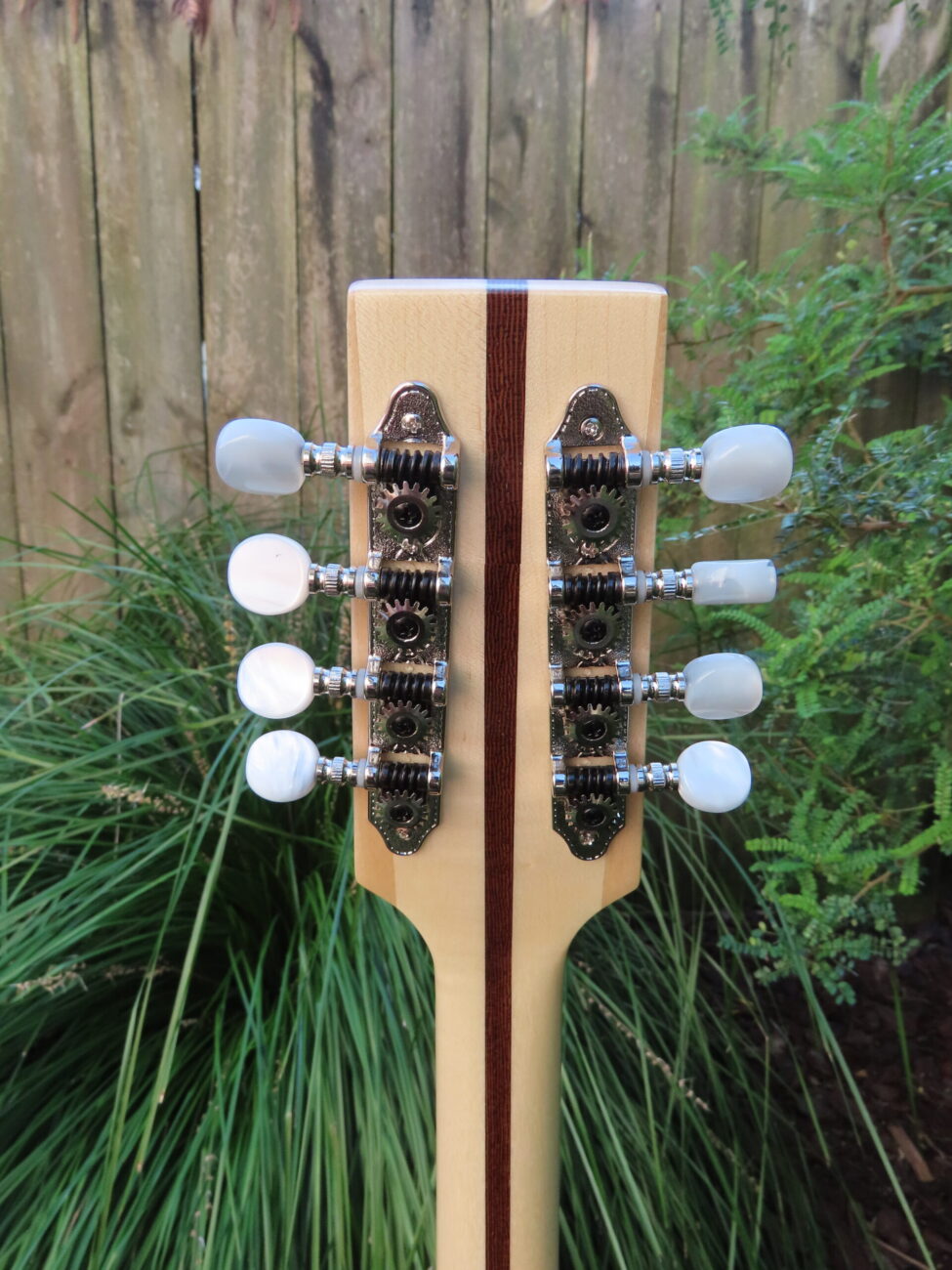 TRAD II ROYALE OCTAVE MANDOLIN / IRISH BOUZOUKI - 24-3/4" scale - Spruce top