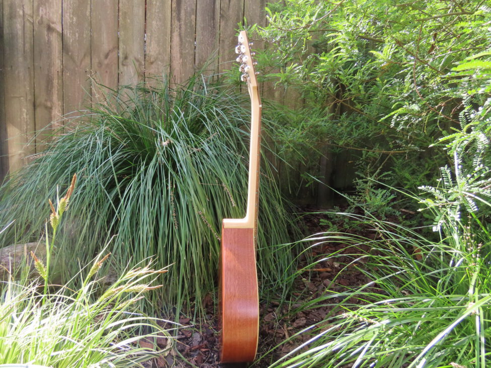 TRAD II STANDARD OCTAVE MANDOLIN  19-5/8" scale