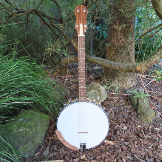 PHOENIX IRISH TENOR BANJO 17 fret, 19-5/8" scale (open back)