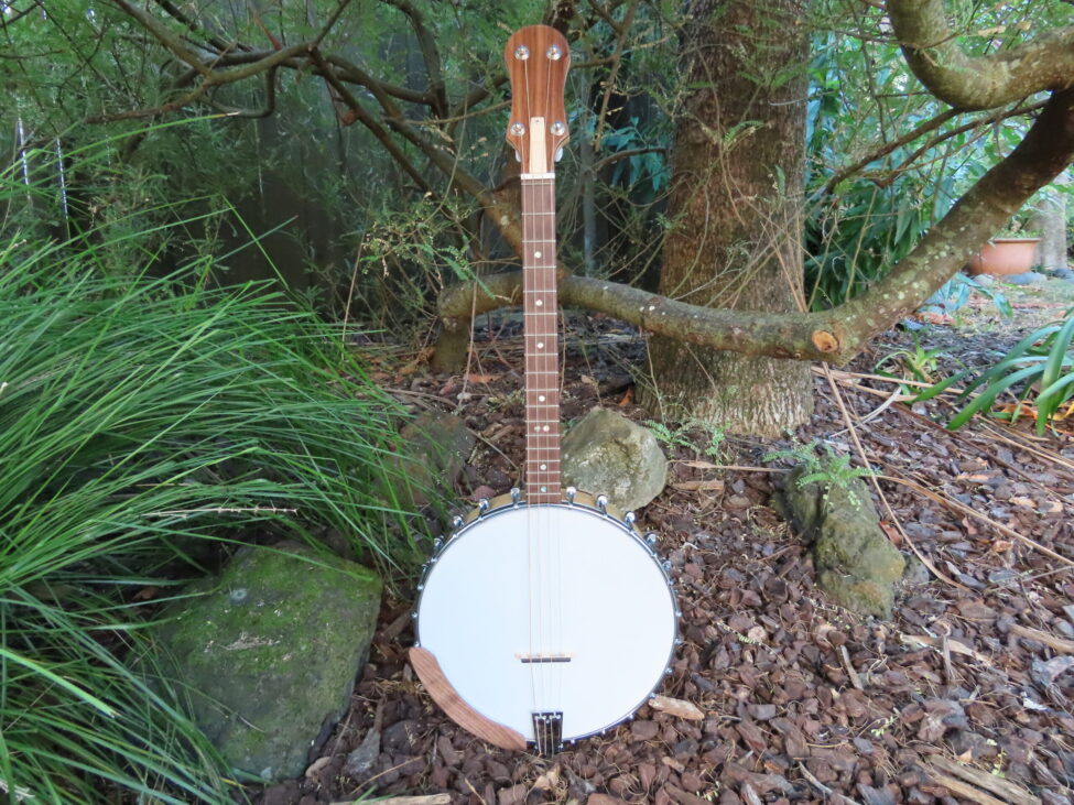 PHOENIX IRISH TENOR BANJO 17 fret, 19-5/8" scale (open back)