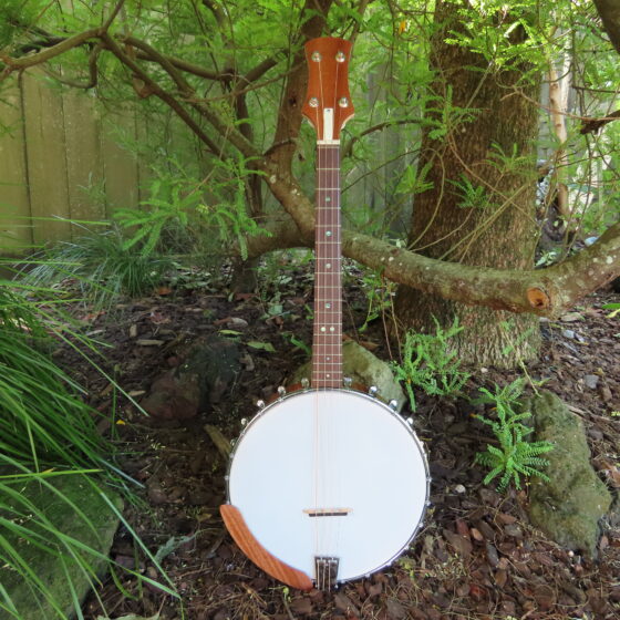 WAYFARER IRISH TENOR BANJO 17 fret, 19-5/8" scale (open back)