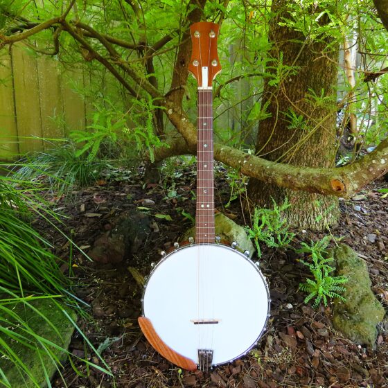 WAYFARER IRISH TENOR BANJO 17 fret, 19-5/8" scale with tone ring (open back)