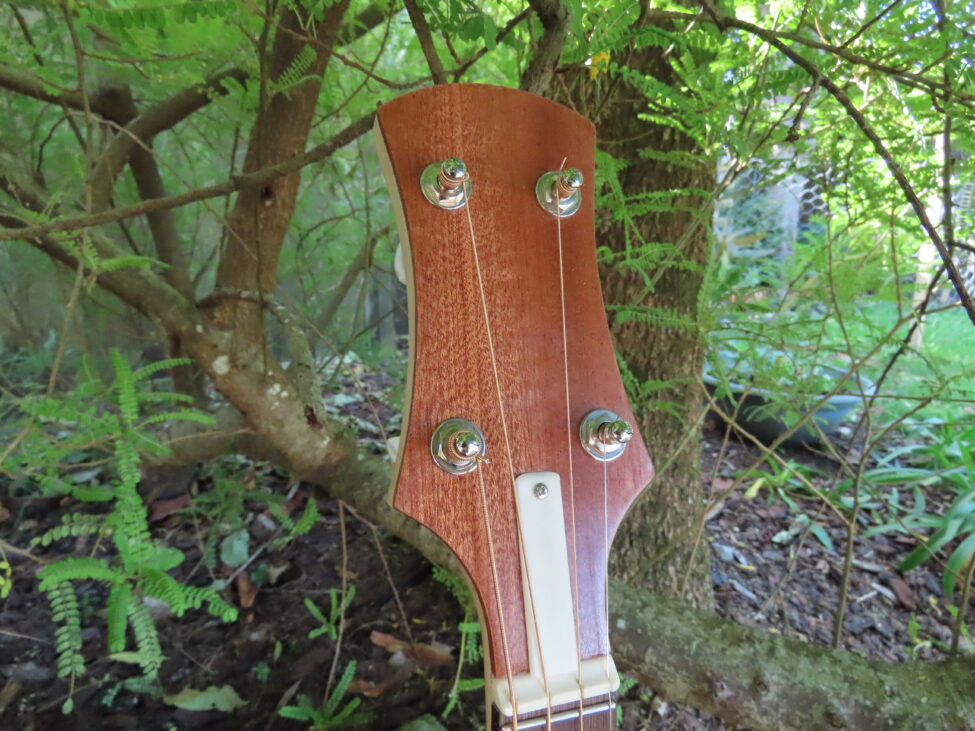 WAYFARER IRISH TENOR BANJO 17 fret, 19-5/8" scale with tone ring (open back)