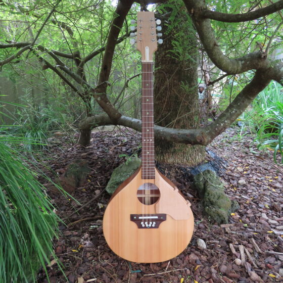 TRAD II ROYALE OCTAVE MANDOLIN - Cedar top 19-5/8" scale