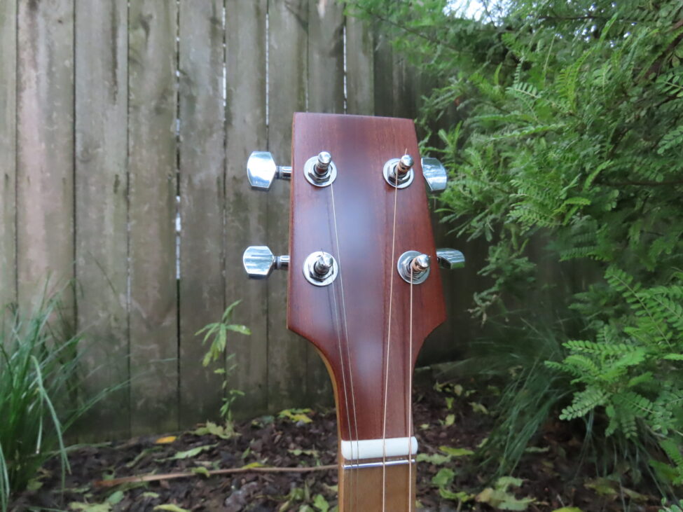 WATERVIEW TRAD II DULCI-LIN – 19-5/8″ scale RIGHT HAND