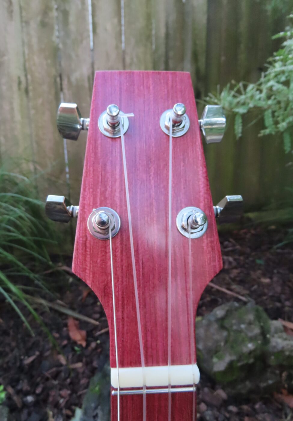 EMPEROR JUMBO TENOR UKULELE - Sapele with Spruce top and Purpleheart