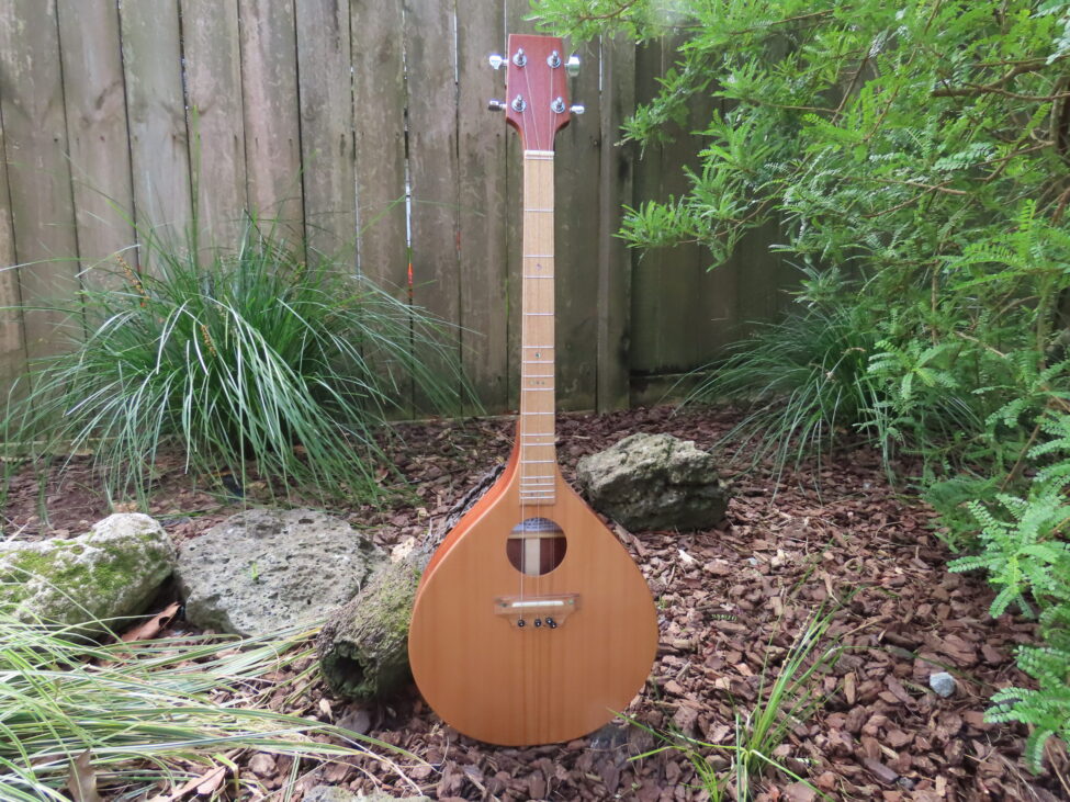WATERVIEW TRAD II DULCI-LIN – 19-5/8″ scale RIGHT HAND