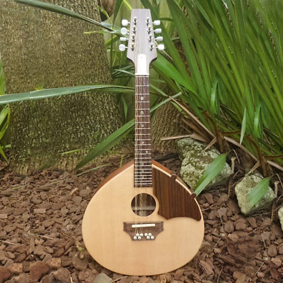 TRAD ROYALE MANDOLIN - Spruce top