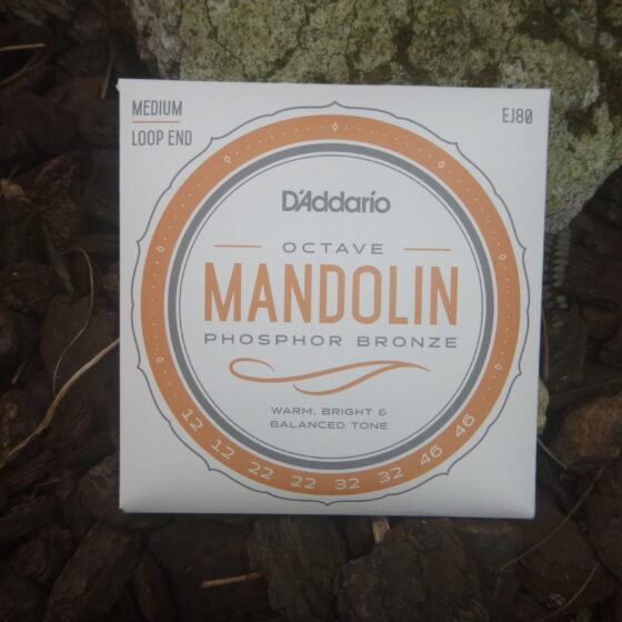 OCTAVE MANDOLIN STRINGS (set of 8)