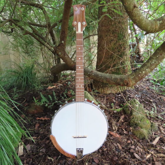 WAYFARER IRISH TENOR BANJO 17 fret, 19-5/8" scale (open back)