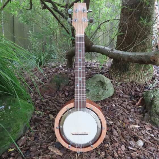 PHOENIX CONCERT BANJO UKULELE - Open back