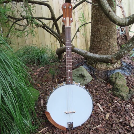 PHOENIX IRISH TENOR BANJO 17 fret, 19-5/8" scale (trade-in)